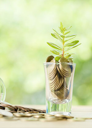 Wealth Management